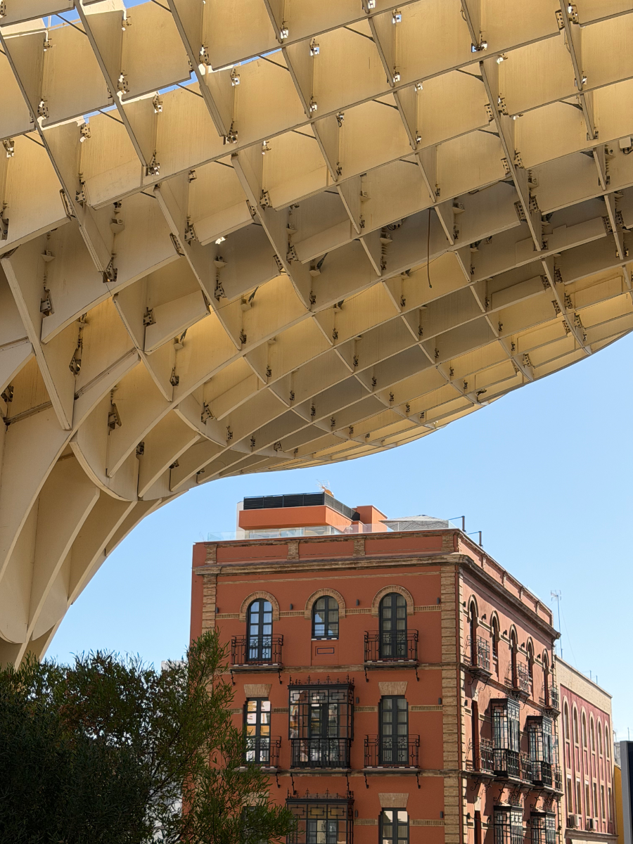 Under the Metropol Parasol