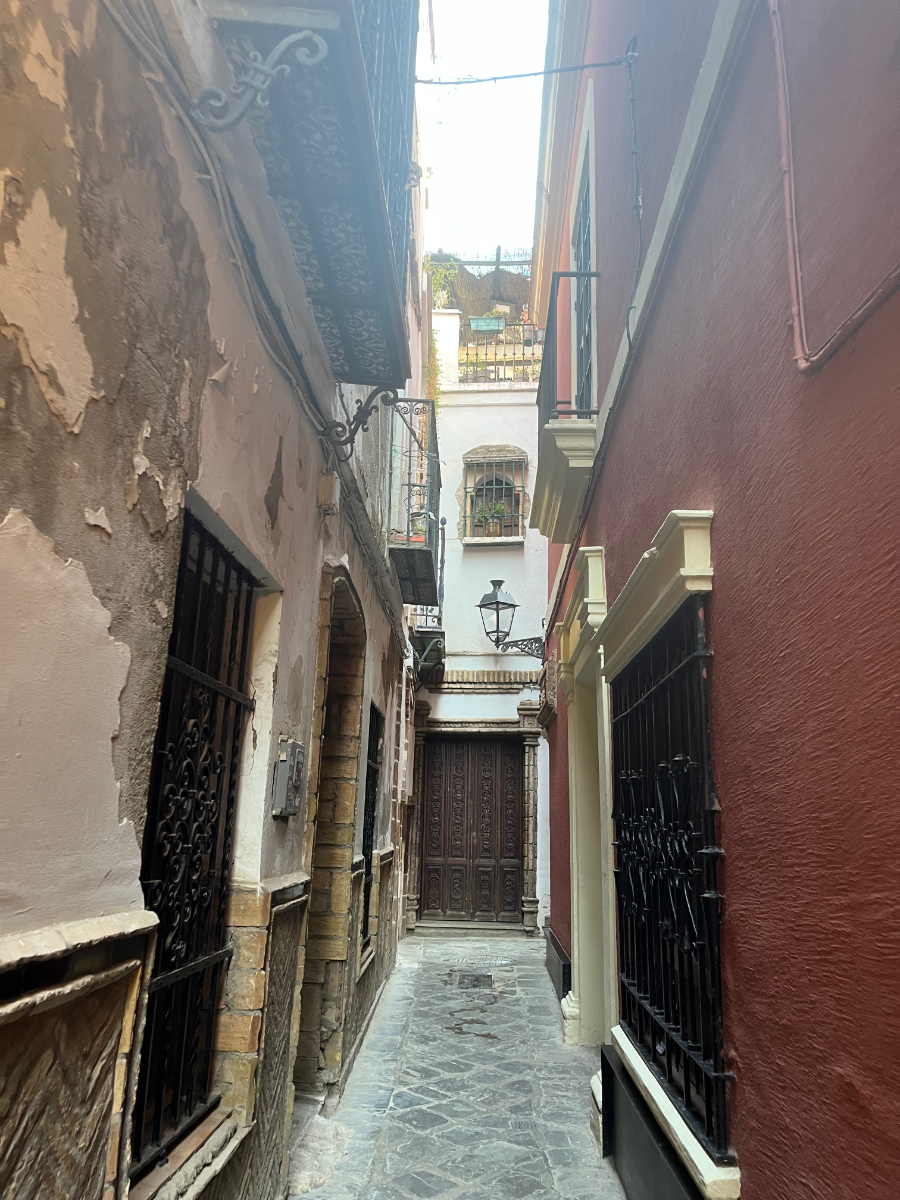 A narrow street in the old centre of Seville